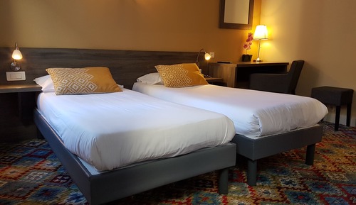 Standard Twin Room
