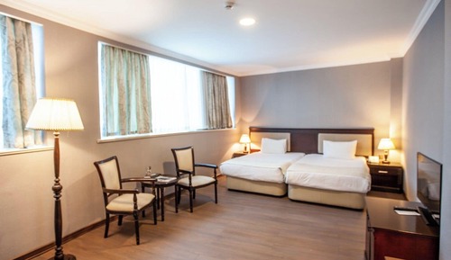 Room, 1 Twin Bed