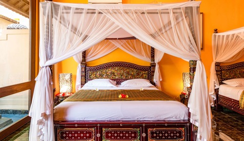 Classic Studio with 2 King Beds