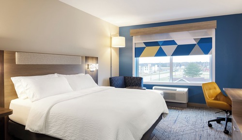 Suite, 1 King Bed with Sofa bed