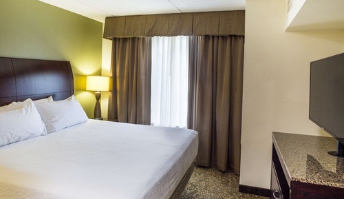 Suite, 1 King Bed with Sofa bed