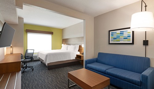 Suite, 1 King Bed with Sofa bed