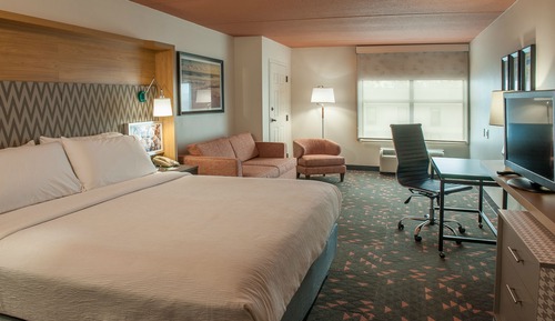 Standard Room, 1 King Bed, Mobility Accessible (Accessible Tub)
