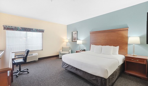 Room, 1 King Bed, Non Smoking