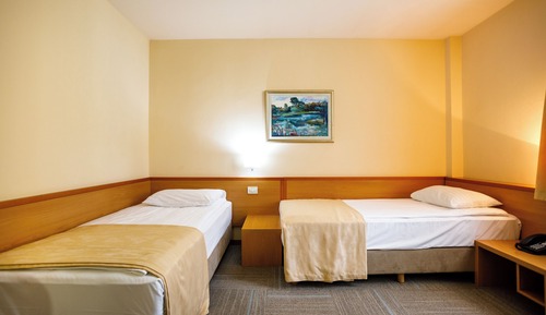 Standard Double or Twin Room, Accessible