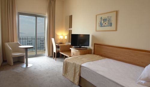 Superior Single Room
