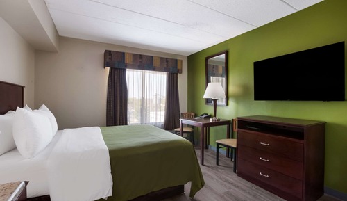 Room, 1 Queen Bed, Accessible, Non Smoking (Roll-In Shower)