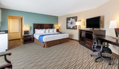 Superior Room, 1 King Bed, Non Smoking