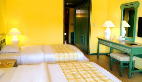 Budget Room Back view (Adults only)