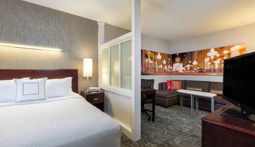 Suite, 1 King Bed with Sofa bed