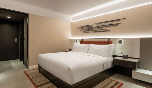 Room, 1 King Bed, Accessible