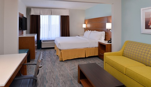 Standard Room, 1 King Bed, Roll-in Shower (Comm, Roll Shower)