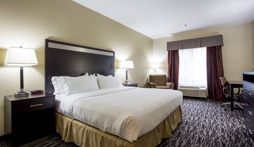 Suite, 1 King Bed
