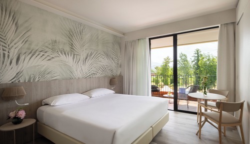 Deluxe Room, 1 Double Bed