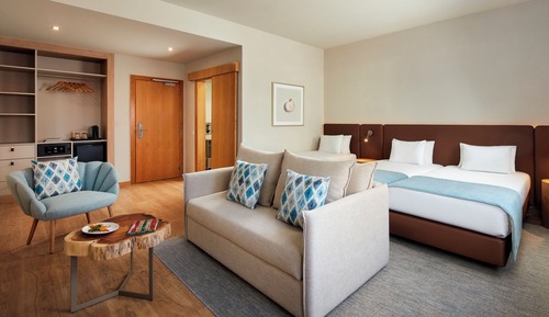Superior Double or Twin Room