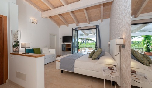 Premier Room