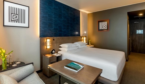 Room, 1 King Bed, Accessible (Shower)