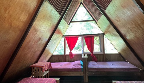 Economy Shared Dormitory, Mixed Dorm, Shared Bathroom (4 Single Beds)