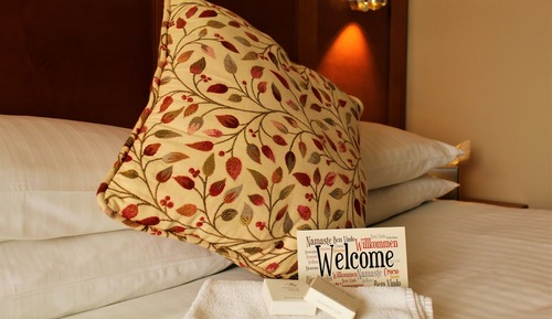 Room, 1 King Bed