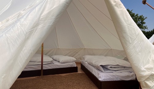 Basic Tent