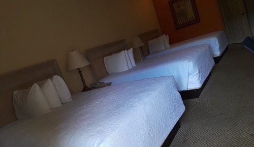 Superior Room, Multiple Beds