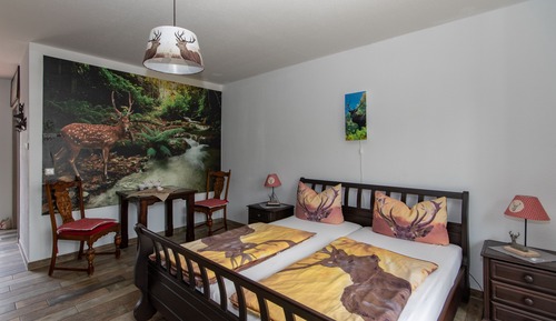 Comfort Double Room, Accessible