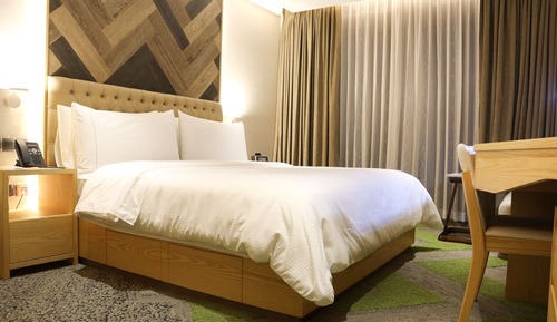 Business Double Room, 1 King Bed, Refrigerator & Microwave