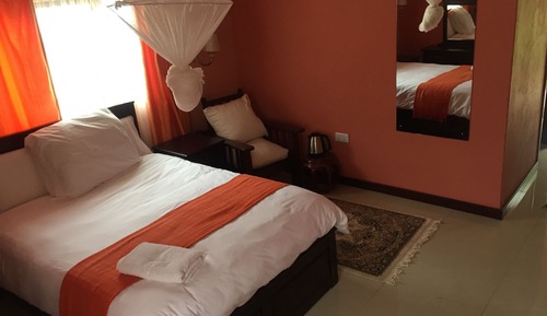 Family Room, 1 Bedroom