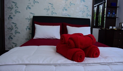 Deluxe Double Room, 1 Queen Bed, Private Bathroom, Mountain View