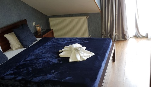 Classic Double Room Single Use, 1 King Bed