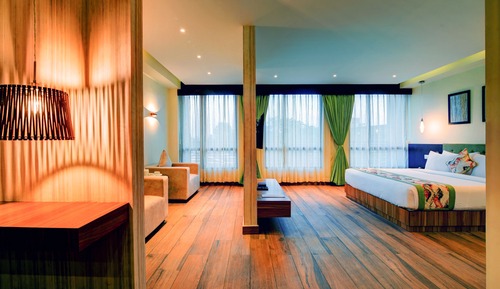 Premium Double Room, 1 King Bed, Non Smoking