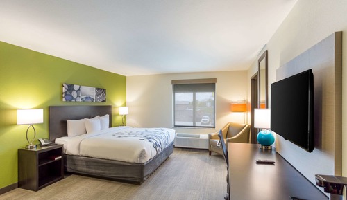 Room, 1 King Bed, Accessible, Non Smoking