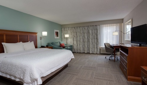 Room, 1 King Bed, Accessible, Non Smoking
