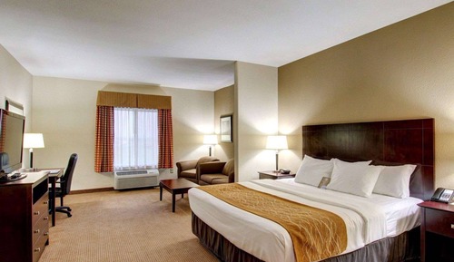 Suite, 1 King Bed with Sofa bed, Non Smoking