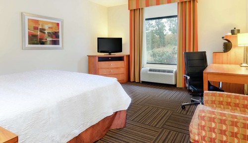 Room, 1 King Bed, Accessible