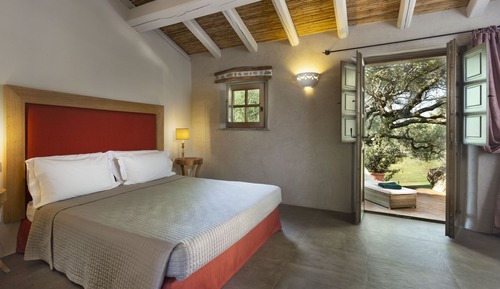 Standard Double Room (Letto Matrimoniale)