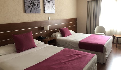 Twin Room