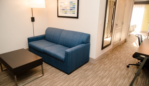 Suite, 1 King Bed with Sofa bed