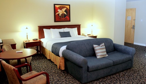 Standard Room, 1 King Bed, Non Smoking