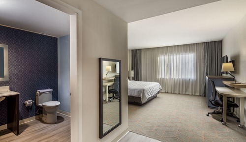 Standard Room, 1 King Bed, Accessible Bathtub