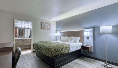 Standard Room, 1 King Bed, Non Smoking