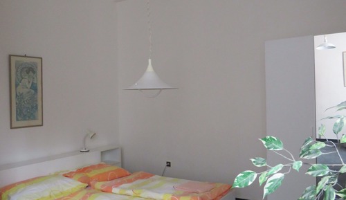 Basic Apartment