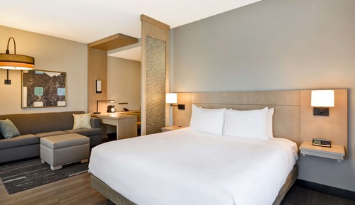 Room, 1 King Bed with Sofa bed (High Floor)