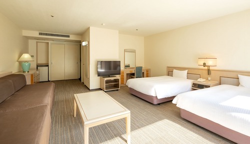 Deluxe Twin Room, Non Smoking