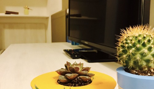 Apartment, 1 Bedroom