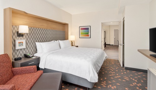 Suite, 1 King Bed with Sofa bed (Additional Living Area)