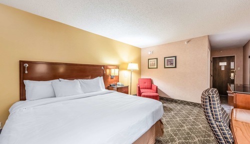 Room, 1 King Bed, Non Smoking