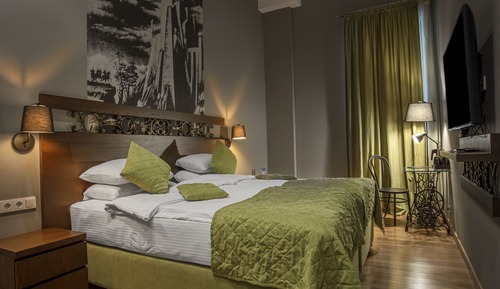 Standard Double or Twin Room