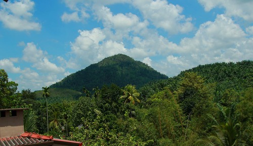 Deluxe Triple Room, 2 Double Beds, Mountain View
