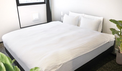 Basic Room, 1 King Bed, Non Smoking, Private Bathroom